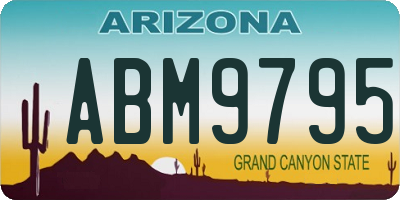 AZ license plate ABM9795