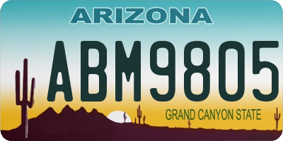 AZ license plate ABM9805