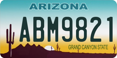 AZ license plate ABM9821