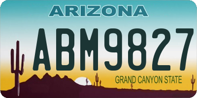 AZ license plate ABM9827
