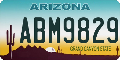 AZ license plate ABM9829