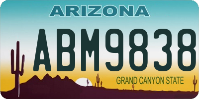 AZ license plate ABM9838