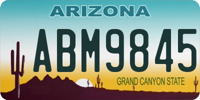 AZ license plate ABM9845