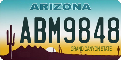 AZ license plate ABM9848