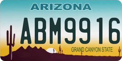 AZ license plate ABM9916