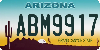 AZ license plate ABM9917