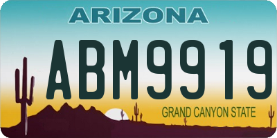 AZ license plate ABM9919
