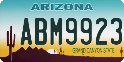 AZ license plate ABM9923