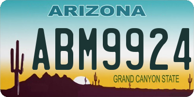 AZ license plate ABM9924