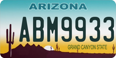AZ license plate ABM9933