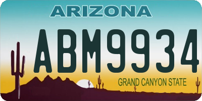 AZ license plate ABM9934