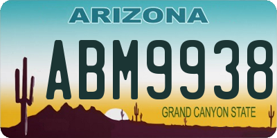 AZ license plate ABM9938