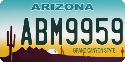 AZ license plate ABM9959