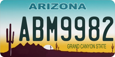 AZ license plate ABM9982