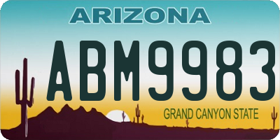 AZ license plate ABM9983