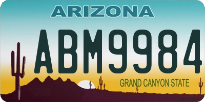 AZ license plate ABM9984