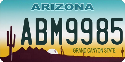 AZ license plate ABM9985