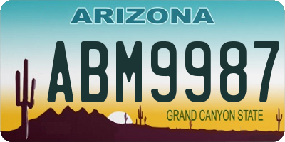 AZ license plate ABM9987