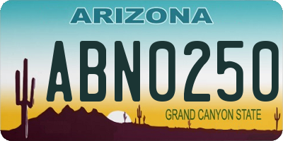 AZ license plate ABN0250