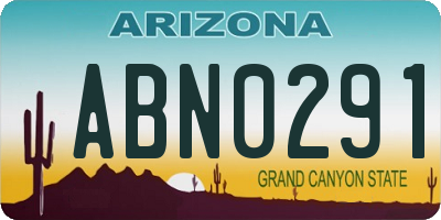 AZ license plate ABN0291