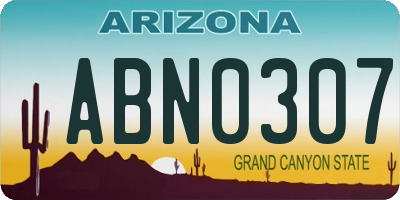 AZ license plate ABN0307