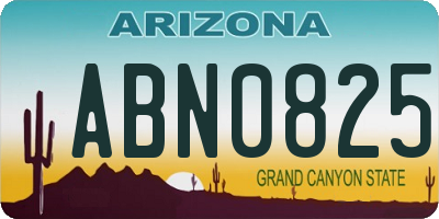 AZ license plate ABN0825