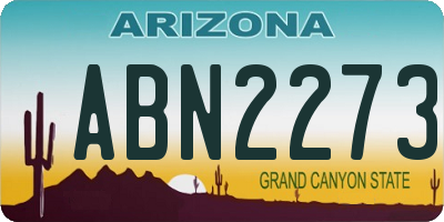 AZ license plate ABN2273