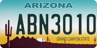 AZ license plate ABN3010