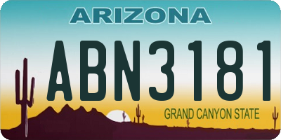 AZ license plate ABN3181