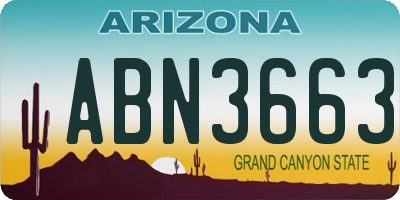 AZ license plate ABN3663