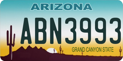 AZ license plate ABN3993