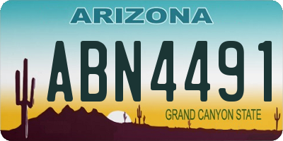 AZ license plate ABN4491