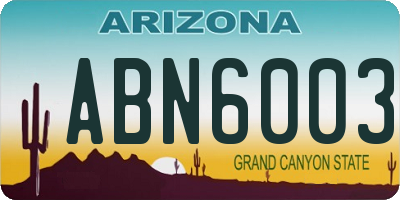 AZ license plate ABN6003