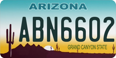 AZ license plate ABN6602