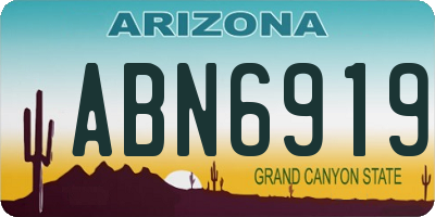 AZ license plate ABN6919