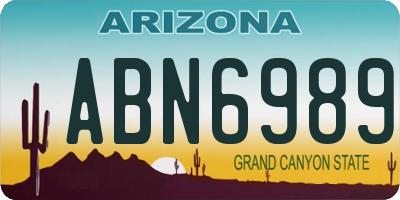 AZ license plate ABN6989