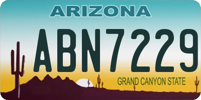 AZ license plate ABN7229