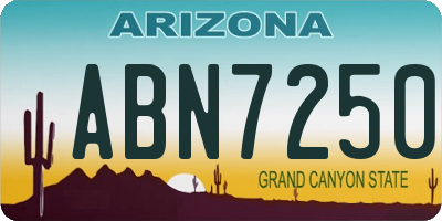 AZ license plate ABN7250