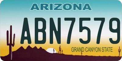 AZ license plate ABN7579