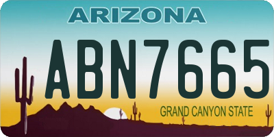 AZ license plate ABN7665