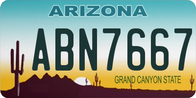 AZ license plate ABN7667