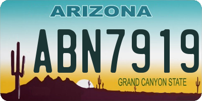AZ license plate ABN7919