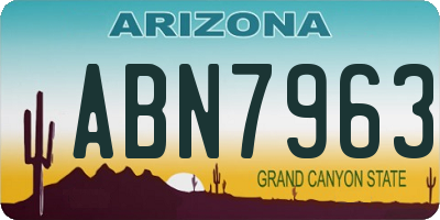 AZ license plate ABN7963