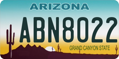 AZ license plate ABN8022