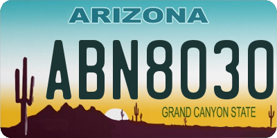 AZ license plate ABN8030