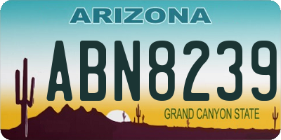 AZ license plate ABN8239