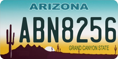 AZ license plate ABN8256