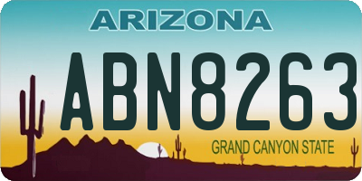 AZ license plate ABN8263