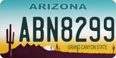 AZ license plate ABN8299