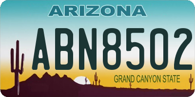 AZ license plate ABN8502